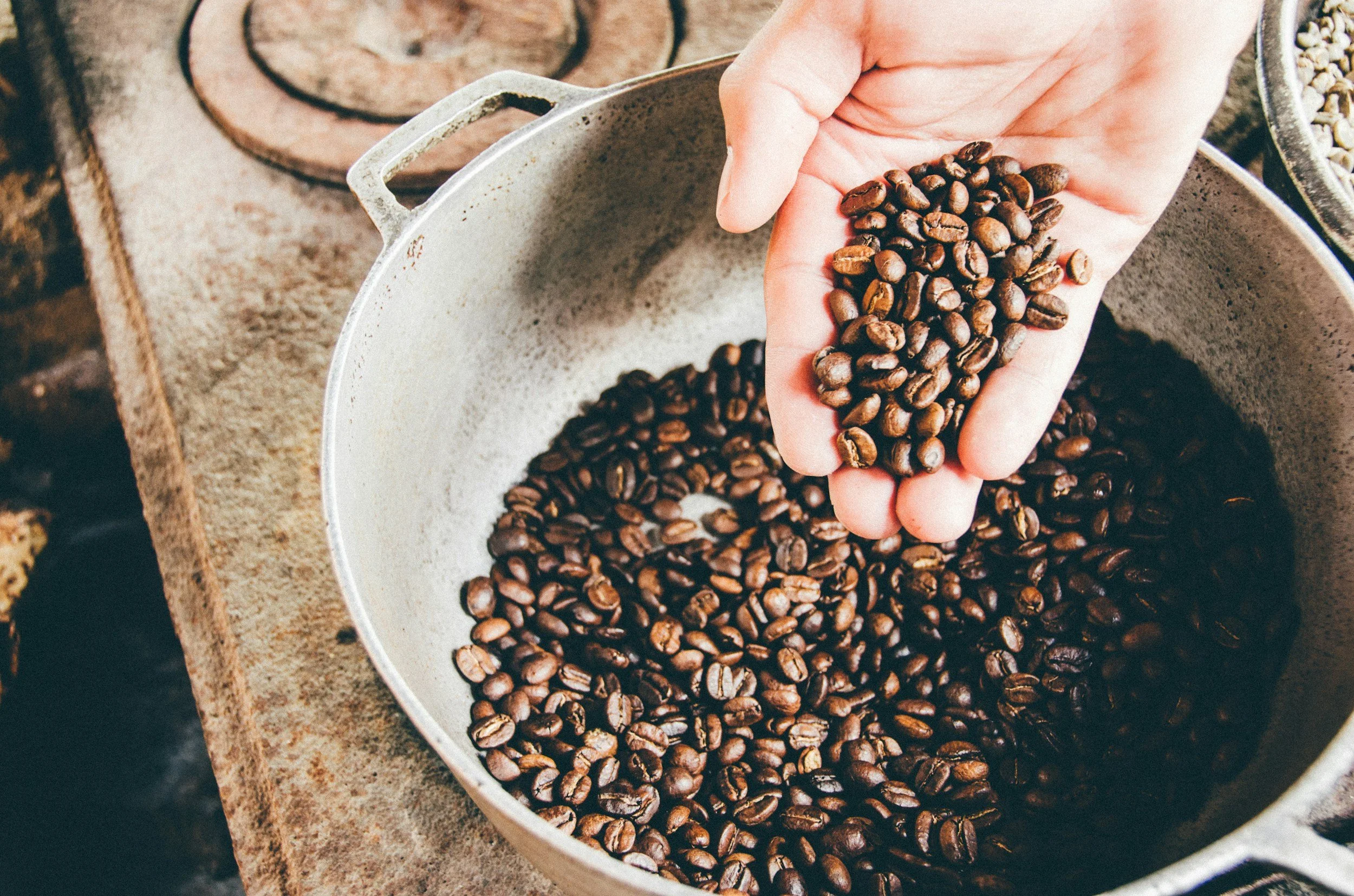 Descubriendo los encantos ocultos de la Ruta del Café en Colombia