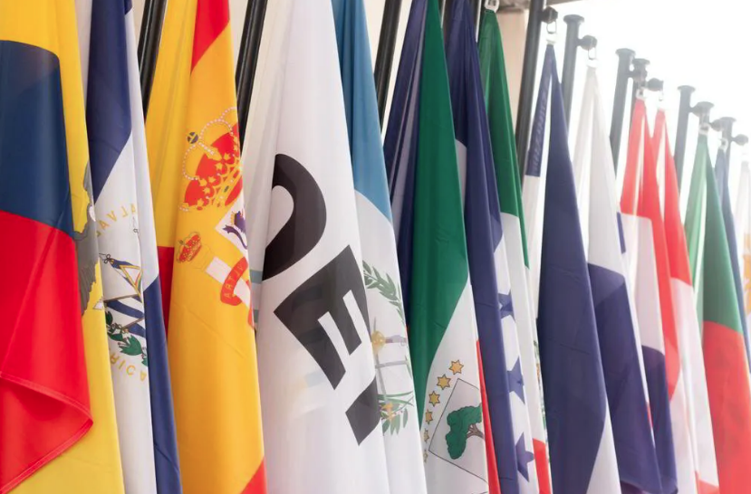 La Organización De Estados Iberoamericanos (OEI), Premio Princesa De Asturias De Cooperación Internacional 2024